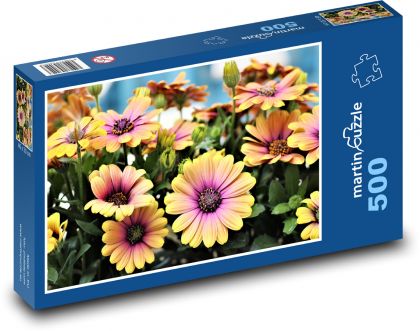Sedmikrásky - africké květiny - Puzzle 500 dílků, rozměr 46x30 cm