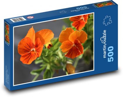 Pansies - orange, garden - Puzzle of 500 pieces, size 46x30 cm 