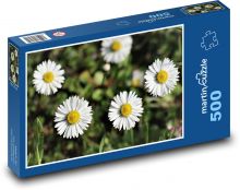 Gänseblümchen - Blume, weiß Puzzle 500 Teile - 46 x 30 cm
