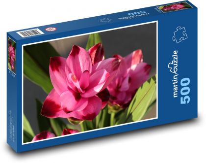 Kurkuma - květ, růžový - Puzzle 500 dílků, rozměr 46x30 cm