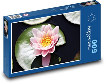 Leknín - růžový květ - Puzzle 500 dílků, rozměr 46x30 cm