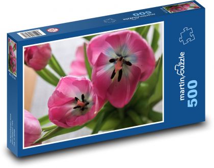Tulipán - růžový, květina - Puzzle 500 dílků, rozměr 46x30 cm