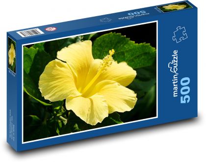 Ibišek - žlutý květ - Puzzle 500 dílků, rozměr 46x30 cm