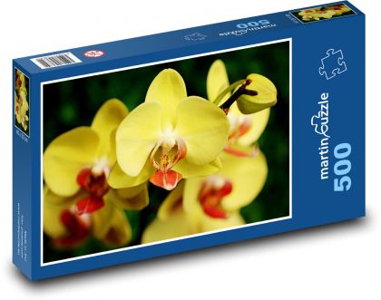 Orchidej - žlutý květ - Puzzle 500 dílků, rozměr 46x30 cm
