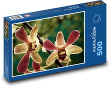 Orchid - flower, plant Puzzle of 500 pieces - 46 x 30 cm 