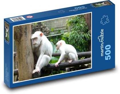 White monkeys in the zoo - Puzzle of 500 pieces, size 46x30 cm 