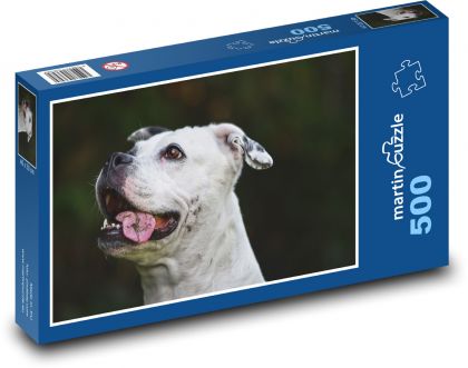 Biały pies - zwierzę - Puzzle 500 elementów, rozmiar 46x30 cm
