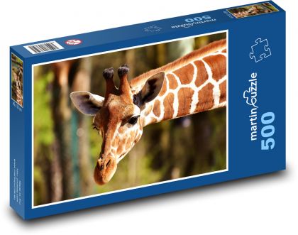 Giraffe - long neck, zoo - Puzzle of 500 pieces, size 46x30 cm 