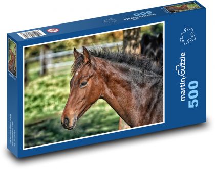 Kůň - hříbě, zvíře - Puzzle 500 dílků, rozměr 46x30 cm