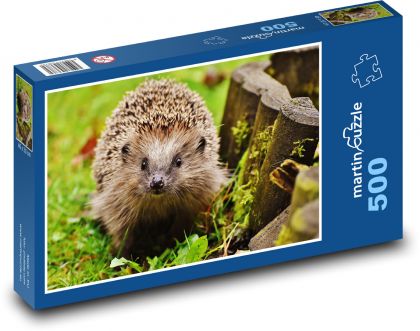 Raven in the snow - Puzzle of 500 pieces, size 46x30 cm 