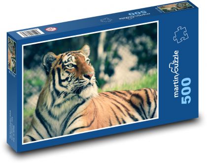 Tygr usurijský - divoká zvěř - Puzzle 500 dílků, rozměr 46x30 cm