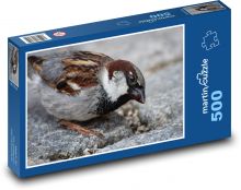 Wróbel - ptak, dziób Puzzle 500 elementów - 46x30 cm