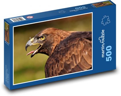 Eagle - bird of prey - Puzzle of 500 pieces, size 46x30 cm 