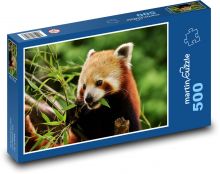 Czerwona panda - młode Puzzle 500 elementów - 46x30 cm