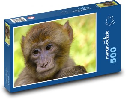 Makak - opice, zoo - Puzzle 500 dílků, rozměr 46x30 cm