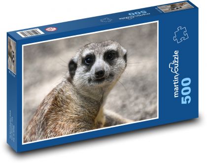 Meerkats at the zoo - Puzzle of 500 pieces, size 46x30 cm 