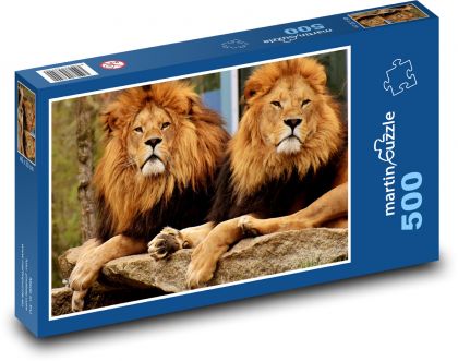 Löwen - Raubtiere, Mähne - Puzzle - 500 Teile