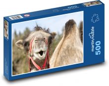 Kamel in Afrika Puzzle 500 Teile - 46 x 30 cm