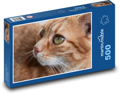 Kočka - domácí, zrzavá - Puzzle 500 dílků, rozměr 46x30 cm