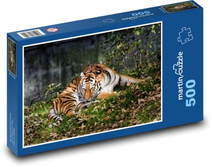 Tiger - dravá mačka, zviera - Puzzle 500 dielikov, rozmer 46x30 cm 