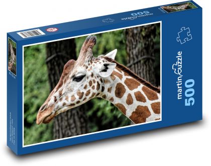 Żyrafa w zoo - Puzzle 500 elementów, rozmiar 46x30 cm