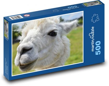 Alpaca - white, animal - Puzzle of 500 pieces, size 46x30 cm 