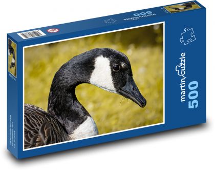 Husa - divoká, rybník - Puzzle 500 dílků, rozměr 46x30 cm