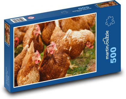 Sliepky - kura, hydina - Puzzle 500 dielikov, rozmer 46x30 cm 