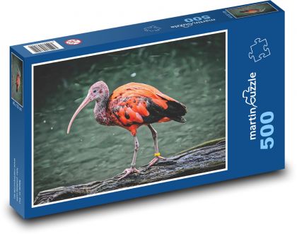 Ibis chick - Puzzle of 500 pieces, size 46x30 cm 