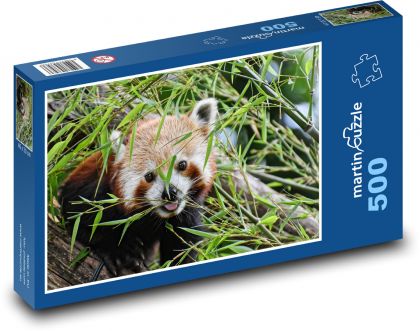 Panda czerwona w trawie - Puzzle 500 elementów, rozmiar 46x30 cm