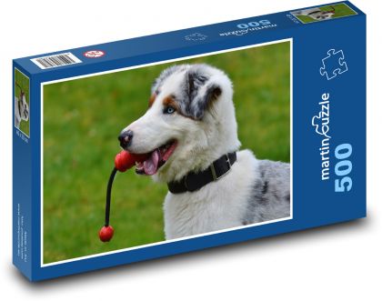 Hund mit Spielzeug - Puzzle - 500 Teile