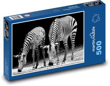 Zebry - Afrika, zoo - Puzzle 500 dielikov, rozmer 46x30 cm 
