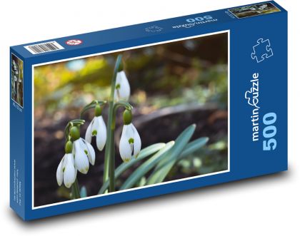 Sněženky - jarní květiny - puzzle 500 dílků
