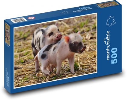 Ferkel, Jungtiere, Schweine - Puzzle - 500 Teile