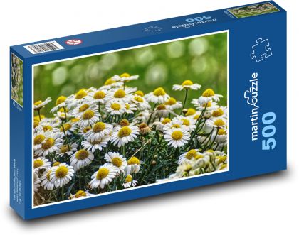 Sedmokrásky - kvet, záhrada - Puzzle 500 dielikov, rozmer 46x30 cm 