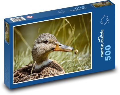 Kačica divá - rybník, príroda - Puzzle 500 dielikov, rozmer 46x30 cm 