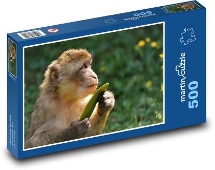 Makaken - Affe, Tier - Puzzle - 500 Teile