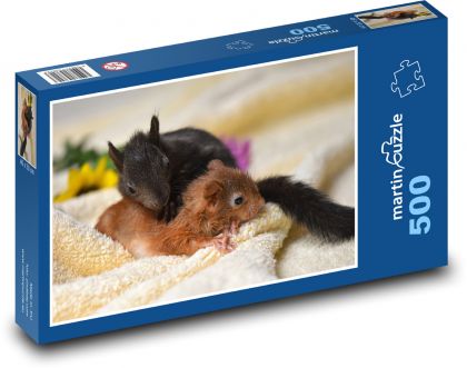 Squirrel - cubs, babies - Puzzle of 500 pieces, size 46x30 cm 