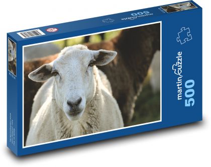 Sheep - animal, pasture - Puzzle of 500 pieces, size 46x30 cm 
