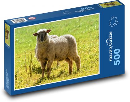 Schaf - Wolle, Gras - Puzzle - 500 Teile