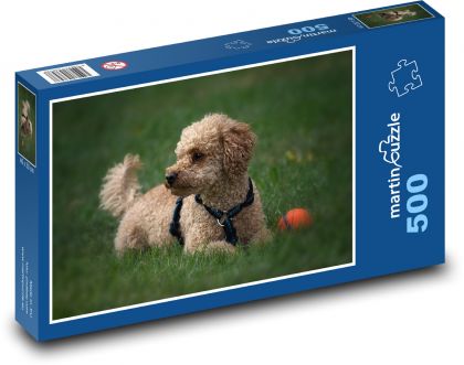 Pudel - Haushund - Puzzle - 500 Teile