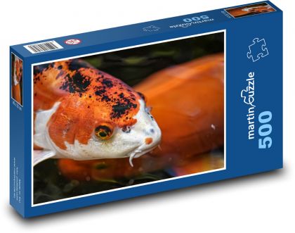 Koi - ryba, exotický - puzzle 500 dílků