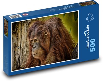 Orangutan - małpa, zoo - Puzzle 500 elementów, rozmiar 46x30 cm