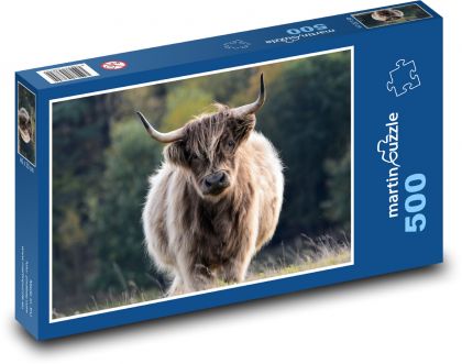 Cattle, bull, horns - Puzzle of 500 pieces, size 46x30 cm 