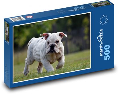 Buldog - šteňa, pes - Puzzle 500 dielikov, rozmer 46x30 cm 