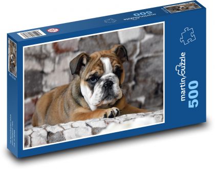 Puppy - bulldog, dog - Puzzle of 500 pieces, size 46x30 cm 