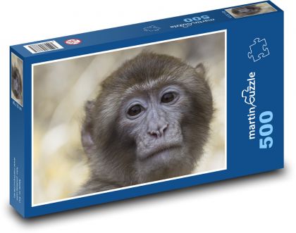 Makak - zvíře, opice - Puzzle 500 dílků, rozměr 46x30 cm