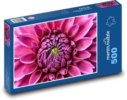 Ružová georgína - kvetina, záhrada - Puzzle 500 dielikov, rozmer 46x30 cm 