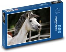 Bílý kůň - zvíře, jezdectví Puzzle 500 dílků - 46 x 30 cm