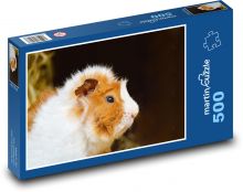 Świnka morska - zwierzę domowe, młode Puzzle 500 elementów - 46x30 cm